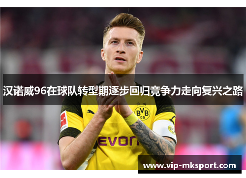 汉诺威96在球队转型期逐步回归竞争力走向复兴之路