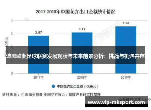 波黑欧洲足球联赛发展现状与未来前景分析：挑战与机遇并存