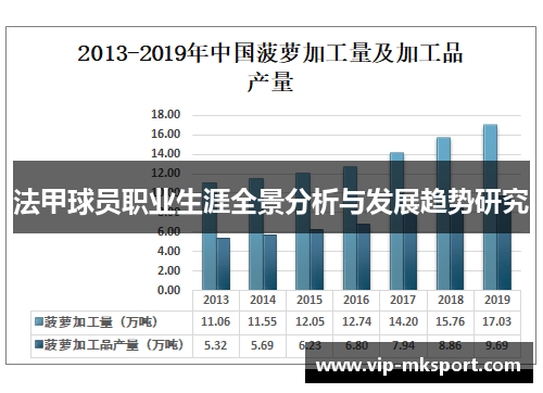 法甲球员职业生涯全景分析与发展趋势研究