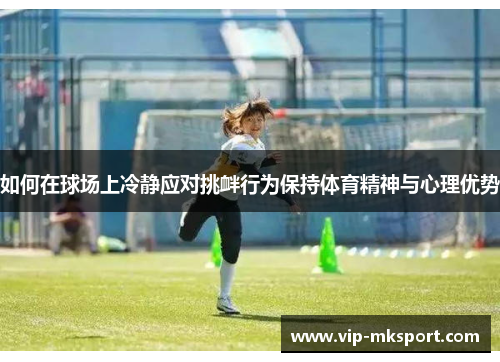 如何在球场上冷静应对挑衅行为保持体育精神与心理优势