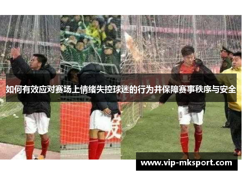 如何有效应对赛场上情绪失控球迷的行为并保障赛事秩序与安全