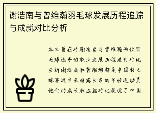 谢浩南与曾维瀚羽毛球发展历程追踪与成就对比分析