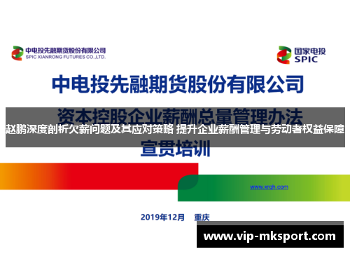 赵鹏深度剖析欠薪问题及其应对策略 提升企业薪酬管理与劳动者权益保障