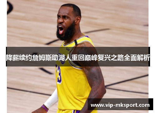 降薪续约詹姆斯助湖人重回巅峰复兴之路全面解析